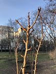     
: 230304-17.jpg
: 57
:	96.2 
ID:	13579122