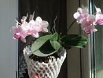     
: IMG_0116.jpg
: 10
:	117.9 
ID:	13579148