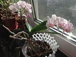     
: IMG_0119.jpg
: 9
:	153.8 
ID:	13579149