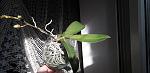     
: 20230304_151908.jpg
: 10
:	123.1 
ID:	13579152