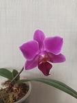     
: IMG_20230228_122016.jpg
: 14
:	56.2 
ID:	13580559