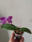     
: IMG_20230313_133505.jpg
: 11
:	140.7 
ID:	13580560