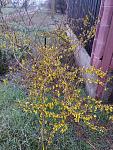     
: IMG_20230402_185522.jpg
: 15
:	245.4 
ID:	13581078