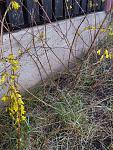     
: IMG_20230402_185558.jpg
: 15
:	227.8 
ID:	13581079