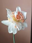     
: IMG_20230410_134543.jpg
: 25
:	39.8 
ID:	13581839