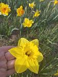     
: IMG_20230410_172117.jpg
: 22
:	81.2 
ID:	13581841