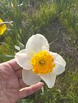     
: IMG_20230410_172133.jpg
: 18
:	70.4 
ID:	13581842