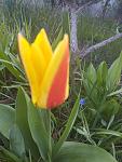     
: IMG_20230410_172022.jpg
: 23
:	103.7 
ID:	13581844