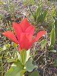     
: IMG_20230410_172301.jpg
: 22
:	145.4 
ID:	13581845
