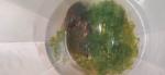     
: IMG_20230422_231618.jpg
: 6
:	36.2 
ID:	13582579
