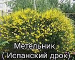     
: EAEE9148-0516-4080-9D05-12EB2962025C.jpg
: 12
:	186.2 
ID:	13582909