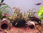     
: 20230427_151953.jpg
: 8
:	171.3 
ID:	13582935