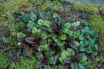     
: DSC_6014.jpg
: 37
:	287.2 
ID:	13583114