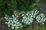     
: DSC_6013.jpg
: 29
:	280.4 
ID:	13583117