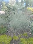     
: IMG_20220510_192839129.jpg
: 29
:	114.9 
ID:	13583121