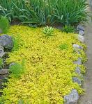     
: 287_original.jpg
: 28
:	231.1 
ID:	13583122