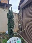     
: 20230420_172717.jpg
: 26
:	167.1 
ID:	13583127