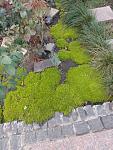     
: IMG-30c6273d259d91ad422570cc65b392df-V.jpg
: 25
:	171.4 
ID:	13583128