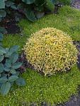     
: IMG_20200526_201727372.jpg
: 25
:	176.1 
ID:	13583129