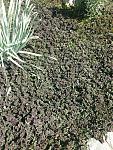     
: IMG_20200423_104342376.jpg
: 31
:	253.8 
ID:	13583132
