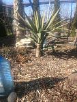     
: IMG_20230330_160451747.jpg
: 26
:	212.1 
ID:	13583134