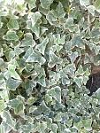     
: IMG_20200918_140141634.jpg
: 36
:	165.9 
ID:	13583140