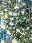     
: IMG_20220907_170154124.jpg
: 26
:	135.7 
ID:	13583142