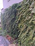     
: 20230420_095632.jpg
: 25
:	274.4 
ID:	13583146