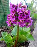     
: IMG_20220426_220007_565.jpg
: 25
:	96.0 
ID:	13583473