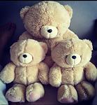     
: 2BB8CF64-C16F-4E30-B964-372E8072D44E.jpg
: 9
:	65.7 
ID:	13583585