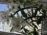     
: IMG_5931.jpg
: 12
:	118.3 
ID:	13583922