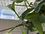     
: IMG_5933.jpg
: 17
:	80.0 
ID:	13583923