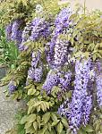     
: 77307FBA-3196-45A1-8E65-30D9B2034D11.jpg
: 33
:	120.2 
ID:	13584204