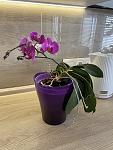     
: IMG_2075.jpg
: 10
:	82.5 
ID:	13584254