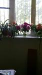    
: 1685965222380.jpg
: 12
:	36.0 
ID:	13585753