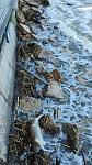     
: IMG_0882.jpg
: 74
:	78.9 
ID:	13586311