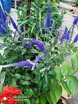     
: _viber_2023-06-15_16-44-02-249.jpg
: 9
:	178.7 
ID:	13586420