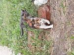     
: 20230612_112523.jpg
: 28
:	310.2 
ID:	13586650