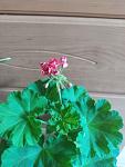     
: IMG_20230618_124613.jpg
: 8
:	64.4 
ID:	13586974