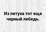     
: _viber_2023-06-24_23-54-36-295.jpg
: 28
:	59.8 
ID:	13587003