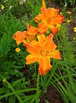     
: IMG_20230628_104130.jpg
: 7
:	117.8 
ID:	13587230
