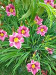     
: IMG_20230628_104045_1.jpg
: 8
:	174.8 
ID:	13587231