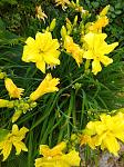     
: IMG_20230628_103749.jpg
: 10
:	131.1 
ID:	13587232