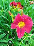     
: IMG_20230628_103707_1.jpg
: 9
:	112.9 
ID:	13587233