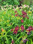     
: IMG_20230628_103728.jpg
: 7
:	202.5 
ID:	13587234