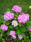     
: IMG_20230628_103649_1.jpg
: 8
:	163.2 
ID:	13587235