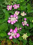     
: IMG_20230628_103621.jpg
: 10
:	160.6 
ID:	13587236