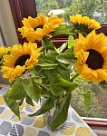     
: IMG_7615.jpg
: 13
:	78.4 
ID:	13587453