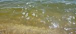     
: sea7.jpg
: 20
:	151.0 
ID:	13587604