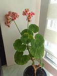     
: IMG_20230704_084215.jpg
: 10
:	71.2 
ID:	13587721